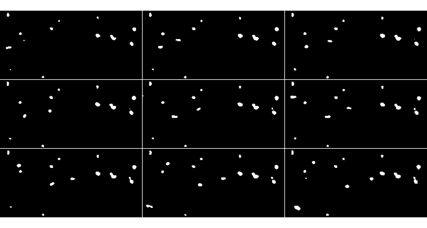 The first 9 frames after preprocessing of the MesenteriumSubset dataset. The binarized image shows the detected objects after thresholding.